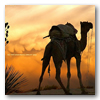 Viajes a India: Misterios del Rajasthan