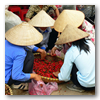 Viajes a Vietnam y Maldivas: Vietnam Norte Imperial y Maldivas