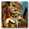 Viajes a Tailandia: Imágenes del Norte