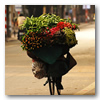 Viajes a Vietnam: Vietnam de Norte a Sur