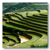 Viajes a Vietnam: Vietnam Étnico