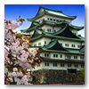 Viajes a Japón: Japón Omotesando