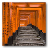 Viajes a Japon y Maldivas: Japon Roppongi y Maldivas